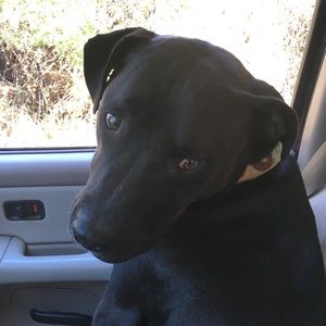 Meet your Posher, Nyliah